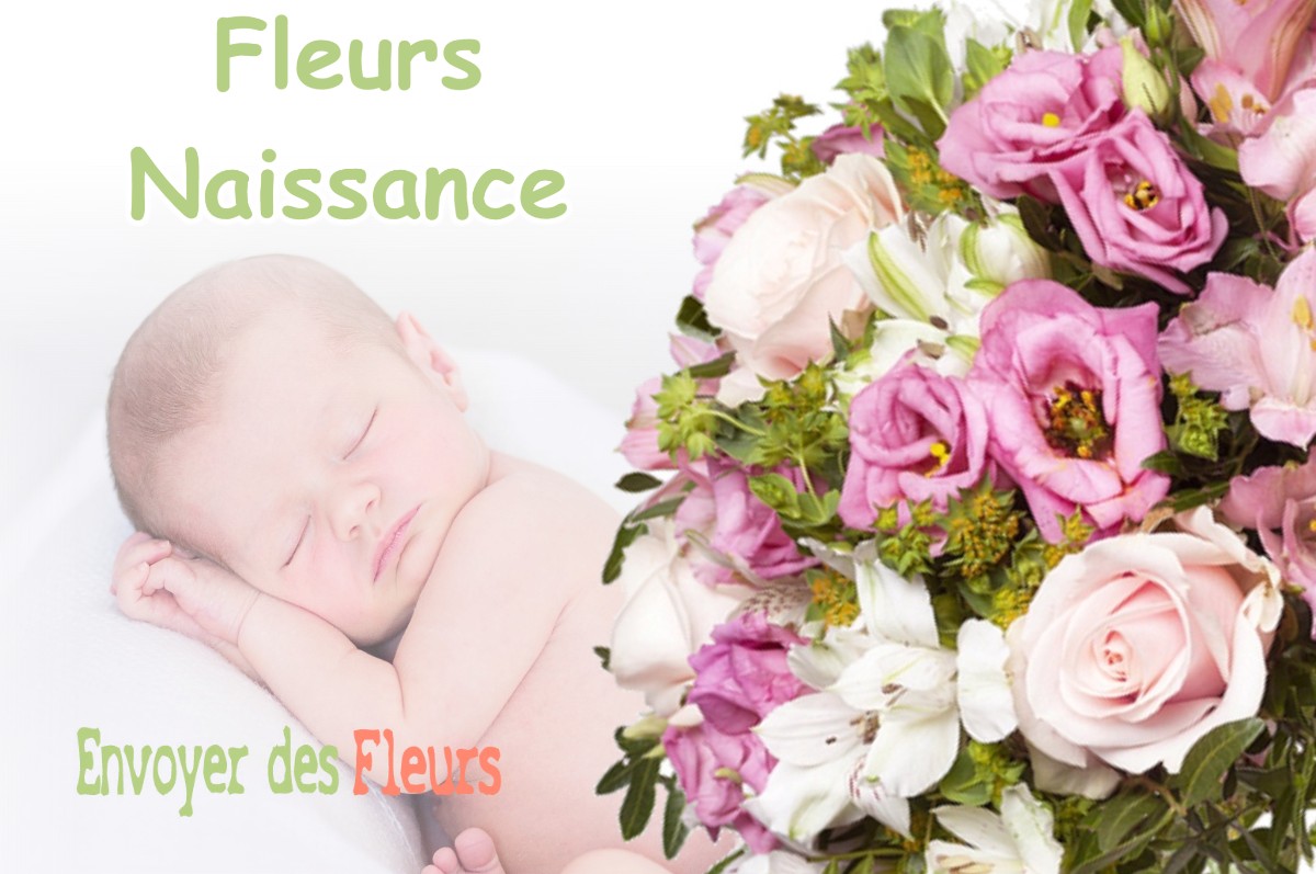 lIVRAISON FLEURS NAISSANCE à SAINTE-MARIE-D-ALLOIX